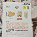 강아지와 고양이 이미지