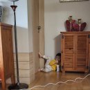 서담부동산중개 이미지