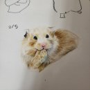 떼굴떼굴 이미지