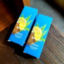 이그니스 이미지