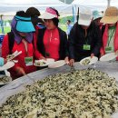 산채으뜸마을 이미지