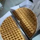 에브리독애견미용학원