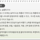 에스에스(SS) 이미지