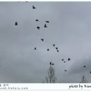 백구공원 이미지