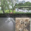 선후농장 | 🚄서울에서 일산까지 단 16분! GTX-A 타고 다녀온 일산호수공원 나들이