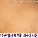 개구리PC방 이미지