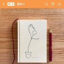 규림 스토어 네이버블로그