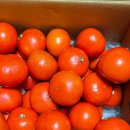 봉명동내커피 구미인동점 | 1.6일기) 12월 연말 먹부림 + 쇼핑 + 투썸 헤네시 케이크 + 아바타3 관람