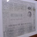 시장골목식당 이미지