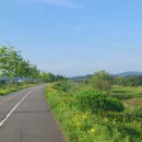 국토종주자전거길1-3 이미지