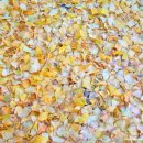 함마대로 이미지