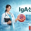 조병수의원 네이버블로그