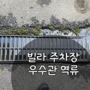 유정 필로티 이미지