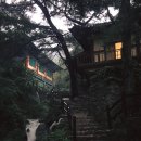 여일 서울신문