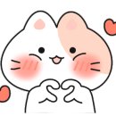 더203에스티(THE203st) 이미지