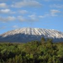 킬리만자로 이미지