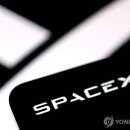 스페이스X, 저대역 주파수 11조원에 인수…이동통신업계 긴장 이미지