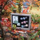 꿈꾸는뜨락 이미지