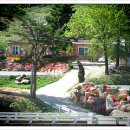 소금강 시즌펜션 이미지