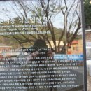 원지동석불입상및석탑 이미지