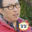 여행나라 네이버블로그