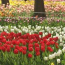 용비쉼터 이미지