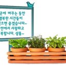 성구 이미지