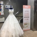 다이렉트결혼준비/ 혼수센터 방문! (해리앤리차드, 헤리츠테일러, 예향한복, 한누리여행사)