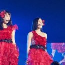 꽃레나 이미지