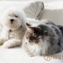 24시예담동물의료센터 이미지