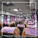 개양파출소 | 오픈런@뉴발란스 명동점/뉴발란스 마라톤 패키지 웨이팅/새벽 명동 뉴발란스 구매후기/RYW 10k race 2025