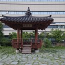 시화정 티스토리