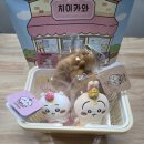 털빨샵 | [치이카와 마켓 용산] 치이카와 샵 한국 첫 정규 매장 용산 예약 방문 후기 아이파크몰 용산점 리빙파크