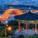 시술경로당 이미지