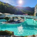 드위트리 풀빌라펜션 & 카라반가든 이미지