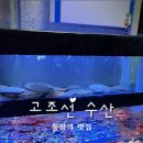 고조선수산