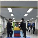 강철태권도 이미지