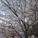 천문과학관주차장 이미지