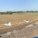 일주부동산중개사무소 이미지