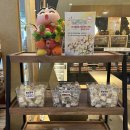 금오산로6길(중1-121) | 속초 벌집아이스크림 원조 허니홈비 본사본점 방문후기