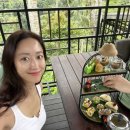 전혜빈 카카오 검색결과