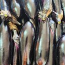 유미농장 이미지