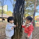 10월30일 즐거운 가을소풍🍂(루피♥️) 이미지