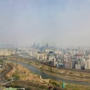 세븐스프링스펜션 | 결혼식장을 '레스토랑'으로 선택한 이유