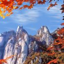 3차동부마트 이미지