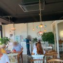 하모리-42 이미지