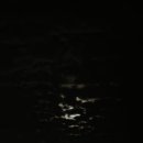 장터진땡이 이미지