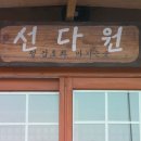 선다원