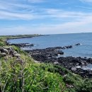 주식회사 환경제주 이미지