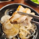 대패가 1900 이미지